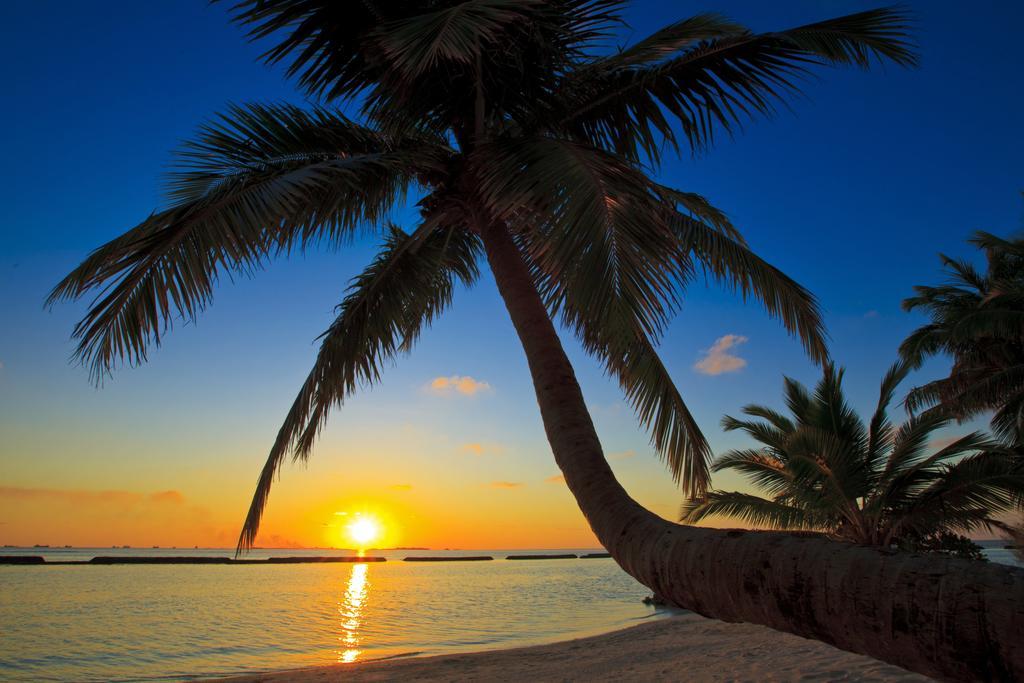 Kurumba Maldives Vihamanaafushi Exterior foto Sunset at the beach